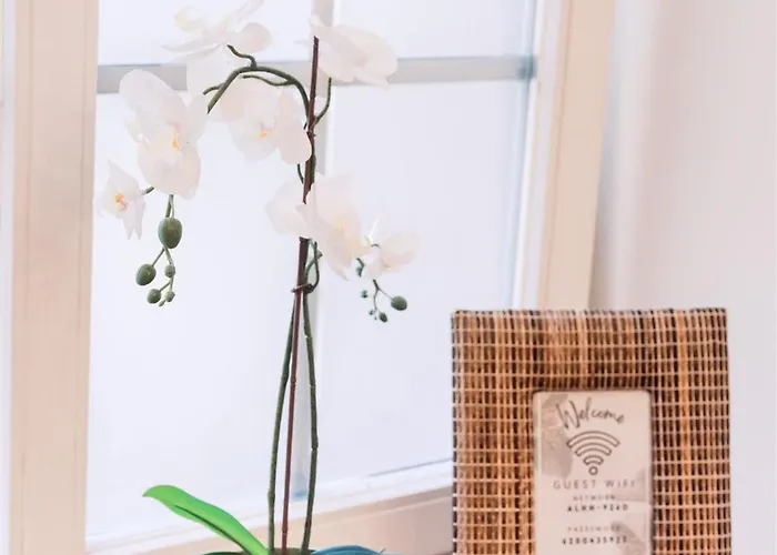 Harmony Apartment/9 Guests/ 4 Bedroom / Old Town Apartment *