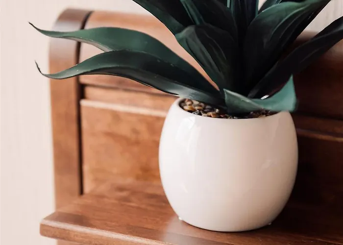 Apartment Harmony Apartment/9 Guests/ 4 Bedroom / Old Town Riga