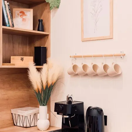 Harmony Apartment/9 Guests/ 4 Bedroom / Old Town Appartement *