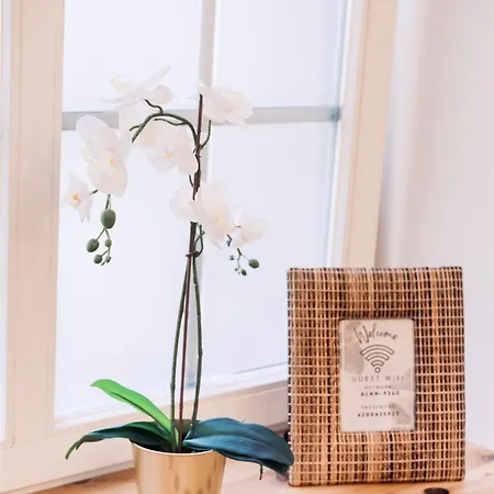 Harmony Apartment/9 Guests/ 4 Bedroom / Old Town شقة *